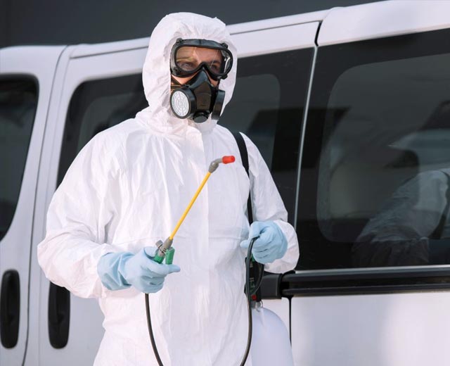 Technicien Antiparasites en intervention de dératisation à Paris (75)